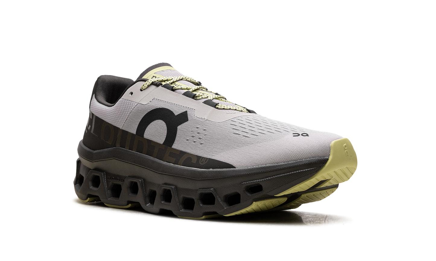 Cloudmonster 2 "Pearl / Thorn"