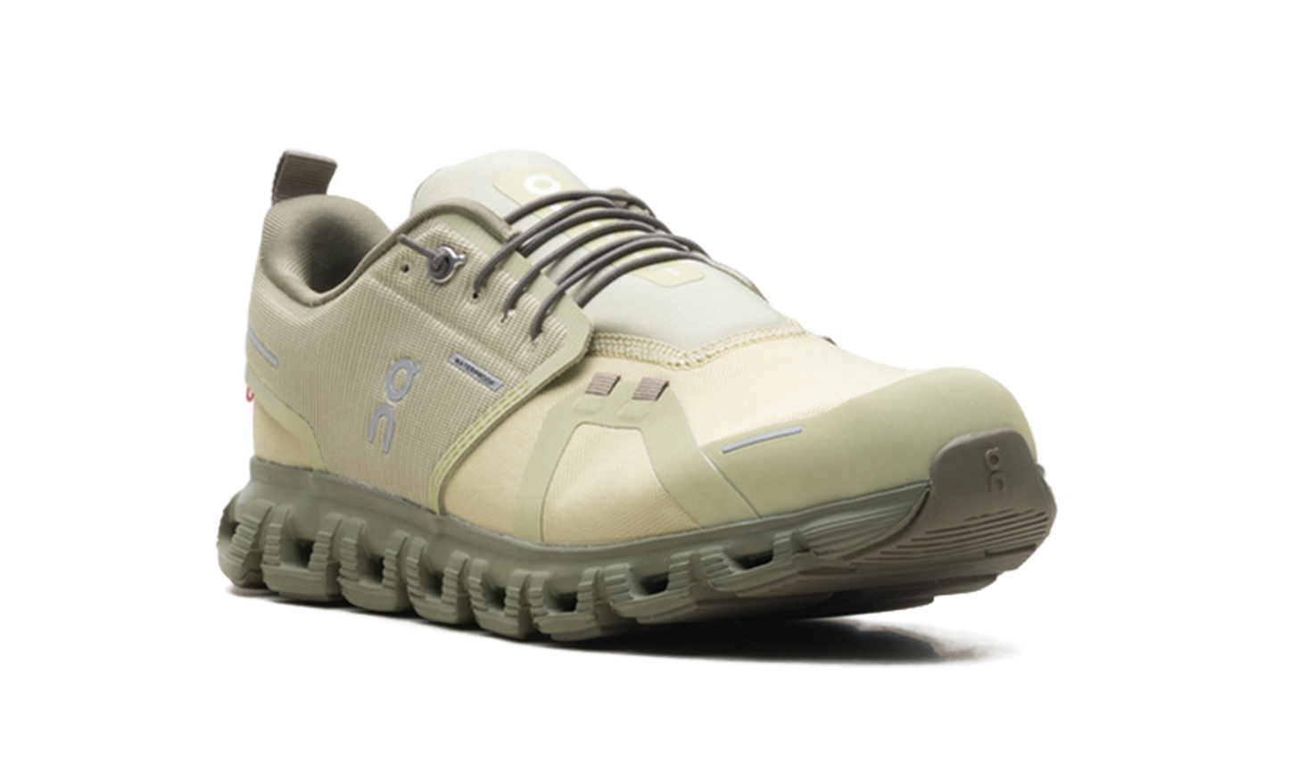 Cloud 6 WP "Caper Grove"