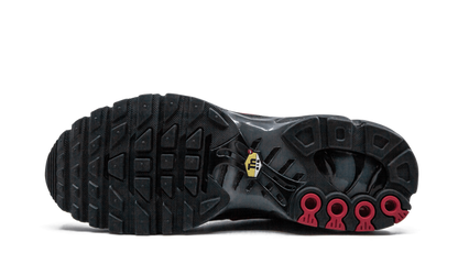 Air Max Plus Blue and Red