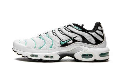 Air Max Plus Atmos