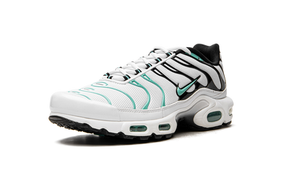 Air Max Plus Atmos