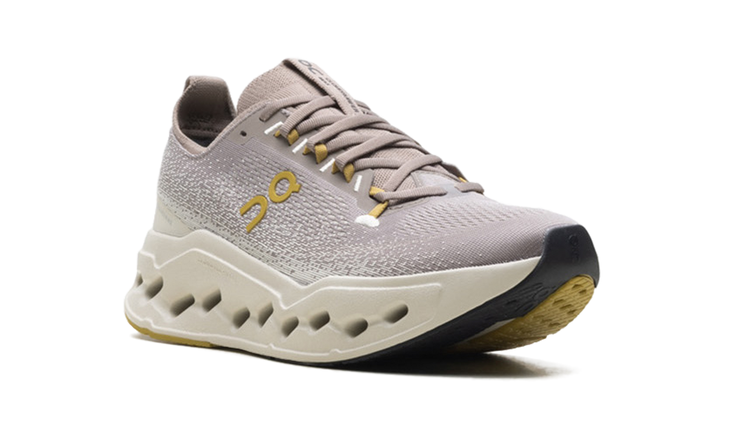 Cloudsurfer Max "Cinder/Pelican"