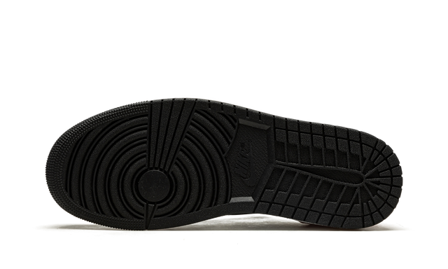 1 Low Bleached Coral