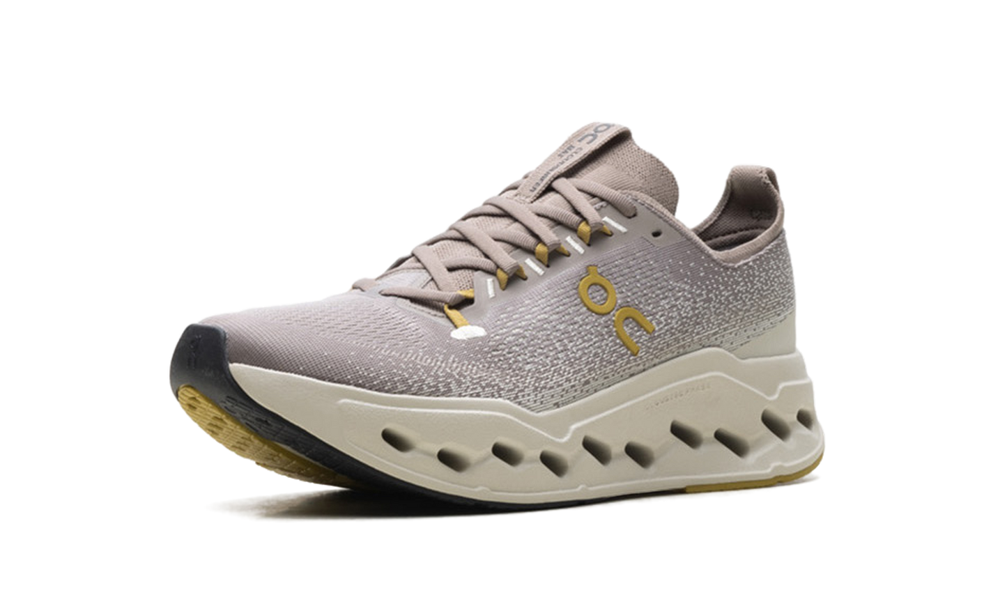 Cloudsurfer Max "Cinder/Pelican"