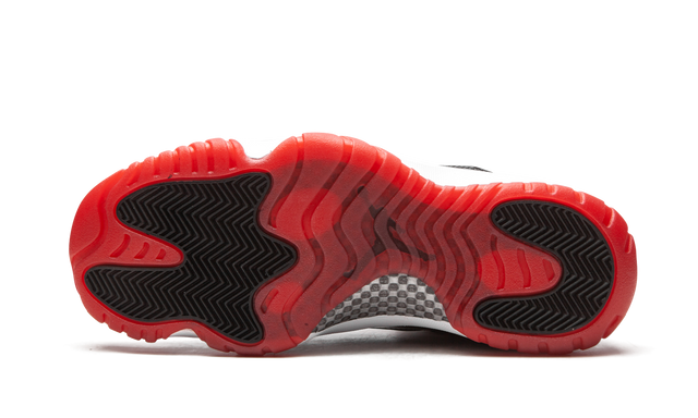 Air  11 Retro Low Concord Bred