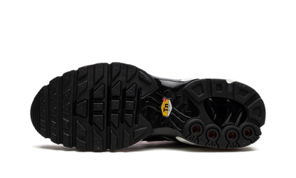 Air Max TN Plus “Dusk”