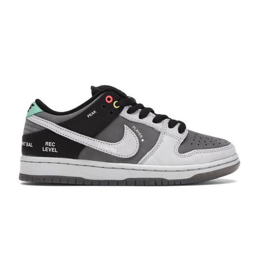 SB Dunk Low Vx1000
