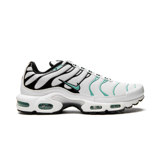 Air Max Plus Atmos