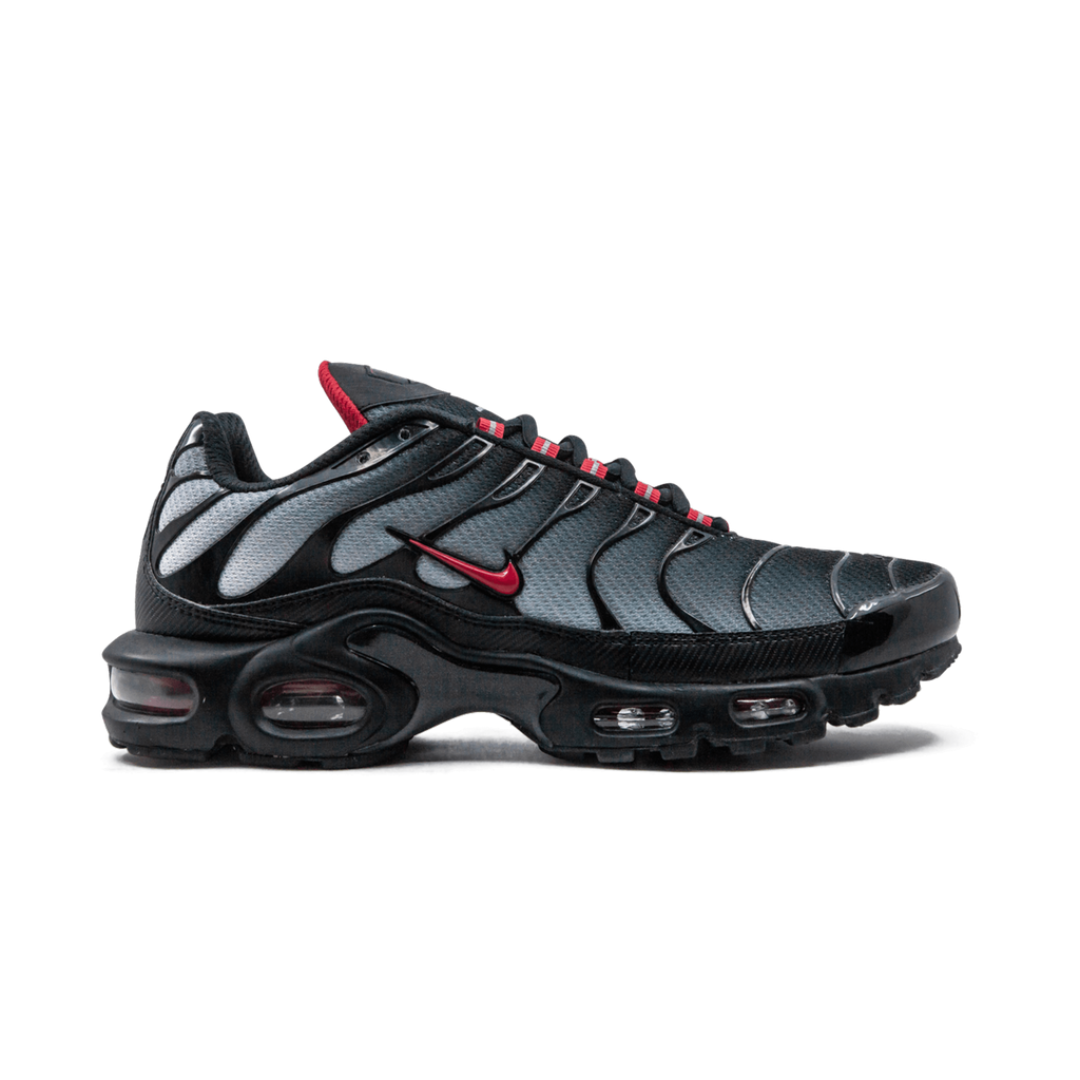 Air Max Plus Blue and Red