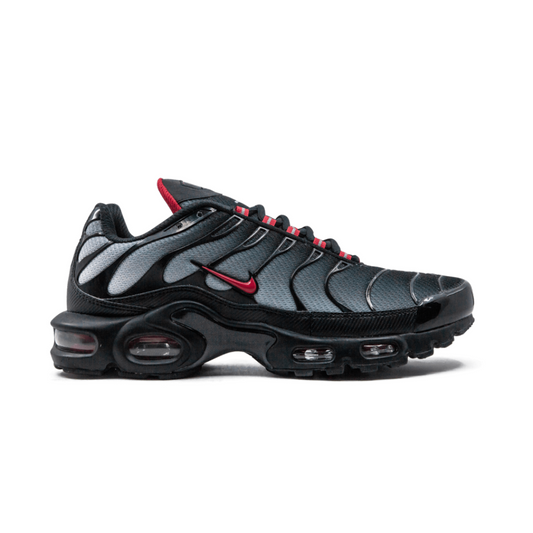 Air Max Plus Blue and Red