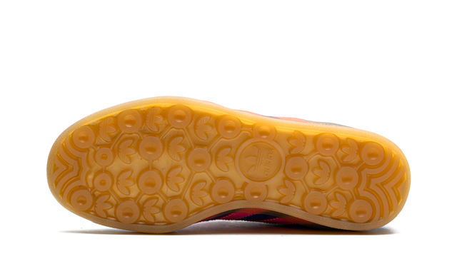 Gazelle Indoor Blue Lucid Pink