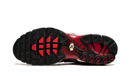 Air Max Plus Black and Red