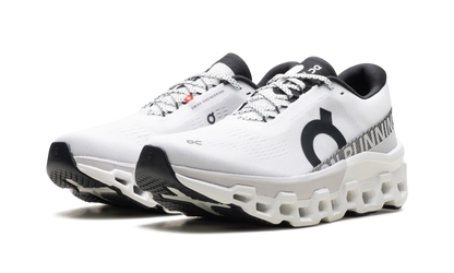 Cloudmonster 2 WMNS "White Frost"