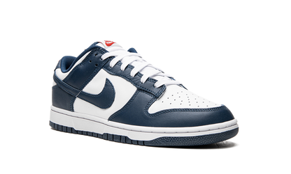Dunk Low Valerian Blue