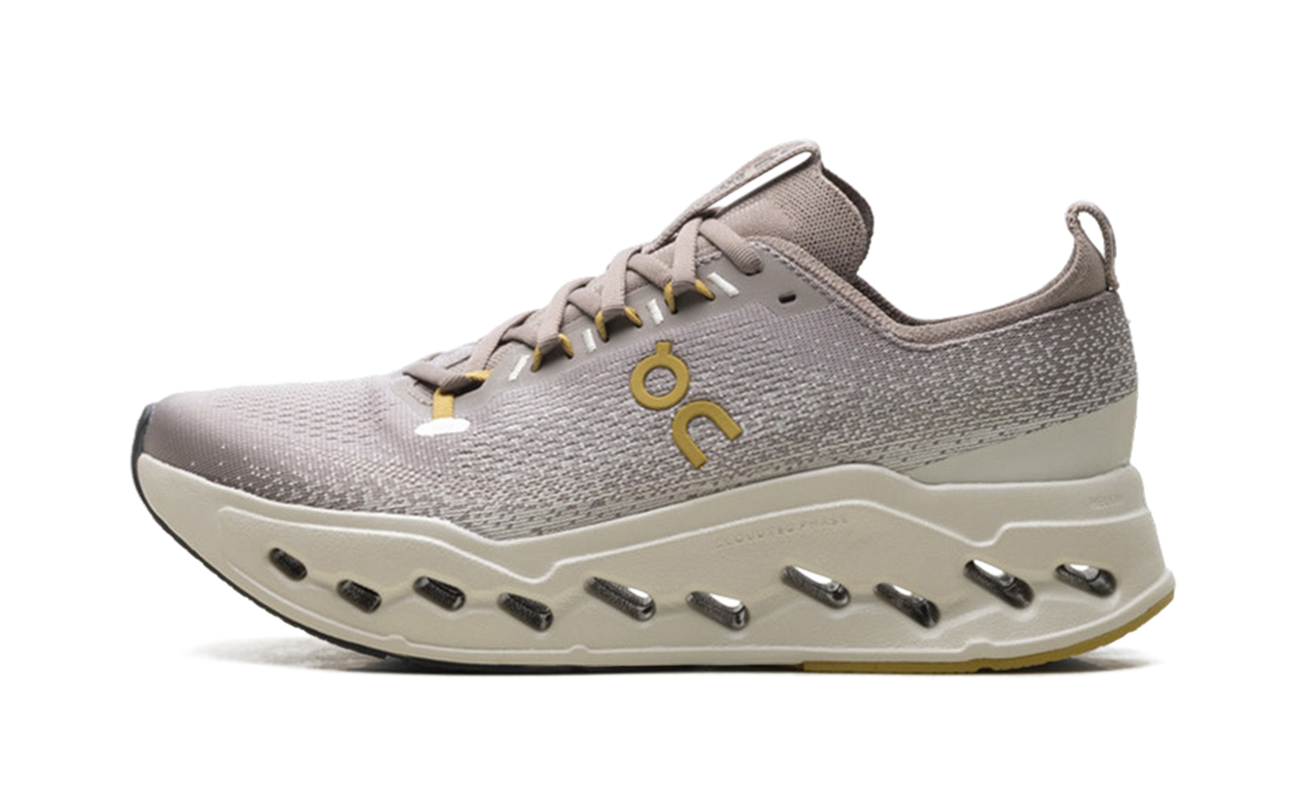 Cloudsurfer Max "Cinder/Pelican"