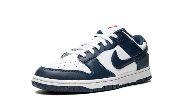 Dunk Low Valerian Blue
