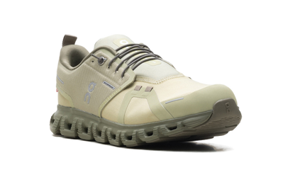 Cloud 6 WP "Caper Grove"