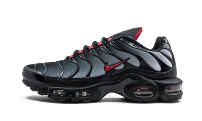 Air Max Plus Blue and Red