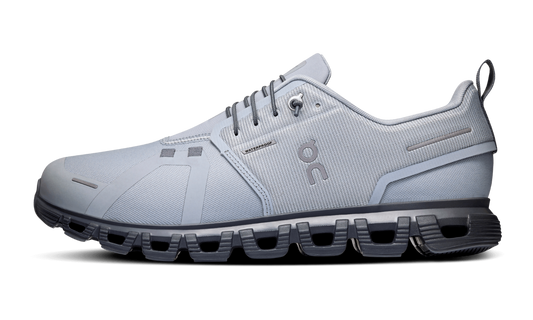 Cloud 6 WP "Alloy Wolf"