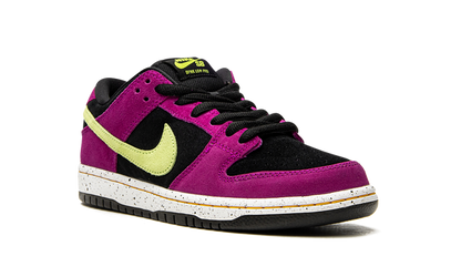 SB Dunk Low ACG Terra Red Plum