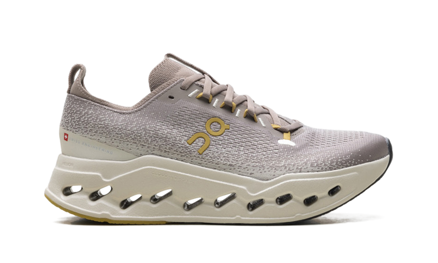 Cloudsurfer Max "Cinder/Pelican"