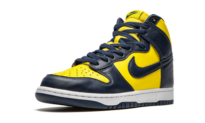 Dunk High Michigan
