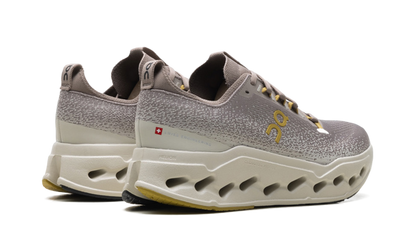 Cloudsurfer Max "Cinder/Pelican"