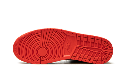 1 Mid SE Siempre Familia