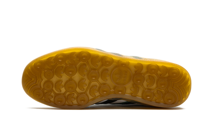 Gazelle Indoor Collegiate Green