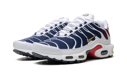 Air Max TN Plus PSG