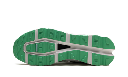 Cloudvista CN "Frost Parakeet"