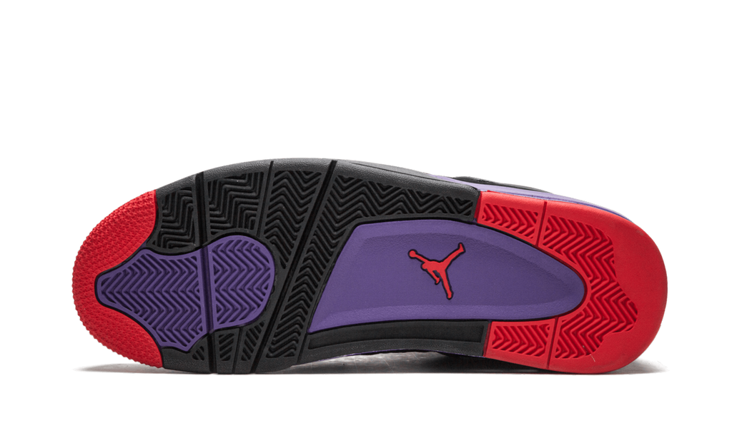 Air  4 Raptors