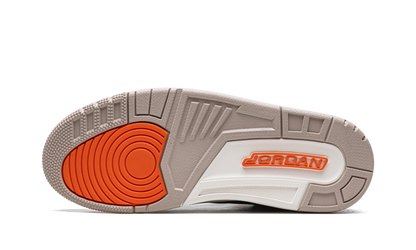 3 Retro Desert Elephant